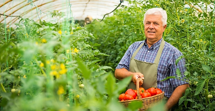 Магазин сельскохозяйственной продукции, оптом и в розницу.  г. Белгород