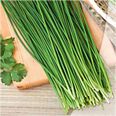 Свежая зелень